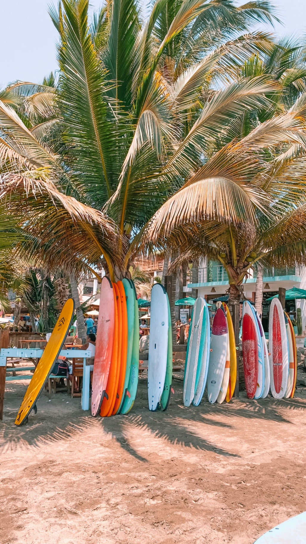 Colorful surfboards lined up under palm trees on a tropical beach